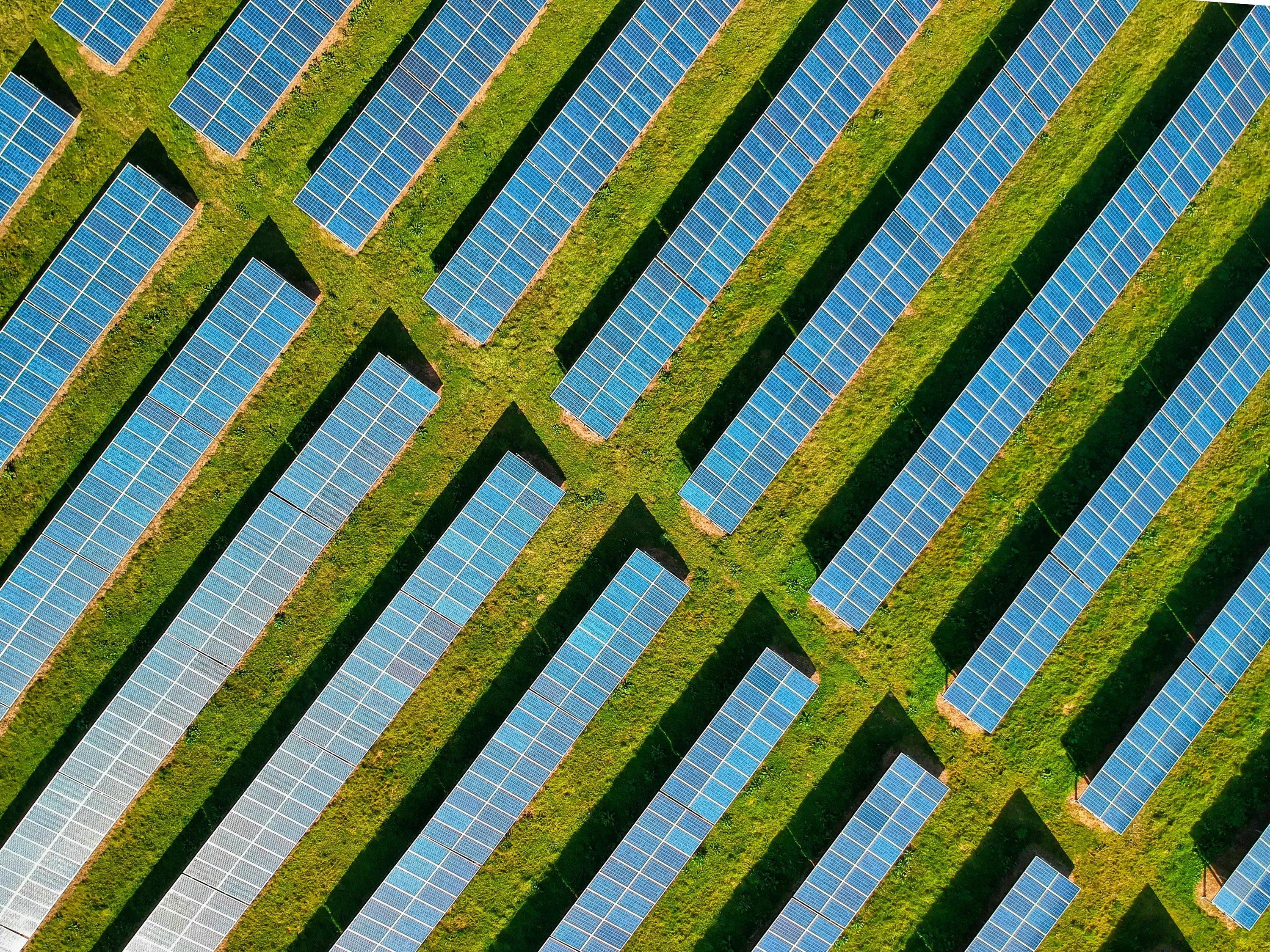De Slimme Keuze voor een Groene Toekomst en een Gevulde Portemonnee!